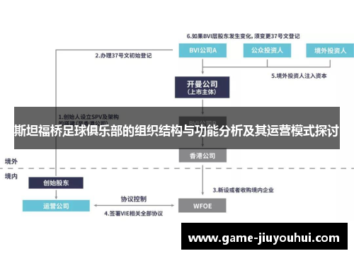 斯坦福桥足球俱乐部的组织结构与功能分析及其运营模式探讨