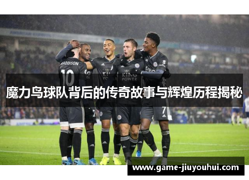 魔力鸟球队背后的传奇故事与辉煌历程揭秘